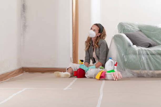 Reliable Mold Testing contractor in Solomons, MD by WQB Mold Removal